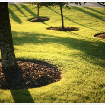 Priority Lawn Care - Landscaping Near Me - Chesapeake, Virginia Priority Lawn Care - Landscaping Near Me - Chesapeake, Virginia