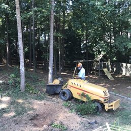 Stumpy getting his grind on!! Stumpy getting his grind on!!