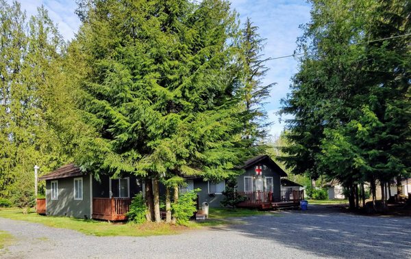 Lake vasona park christmas lights