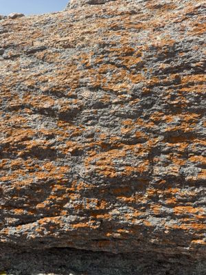 Enchanted Rock State Natural Area by null