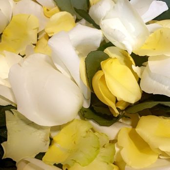 Bella Rosa - Florists Near Me - Honolulu, Hawaii Bella Rosa - Florists Near Me - Honolulu, Hawaii