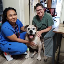 Sun Valley Hope Animal Hospital - Max and Hope Animal Hospital  Thank you so much