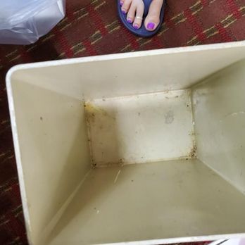 Quality Inn Chipley I-10 At Exit 120 - It looked like the garbage can had been thrown up in! - Hotels Near Me - Chipley, Florida