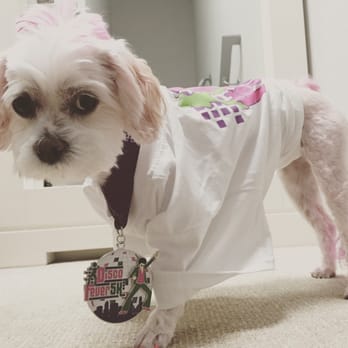 Disco Fever 5K - Races & Competitions Near Me - San Diego, California Disco Fever 5K - Races & Competitions Near Me - San Diego, California