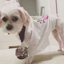 Disco Fever 5K