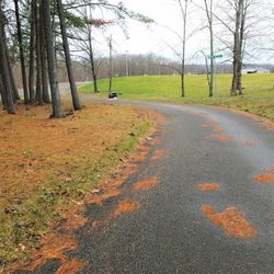 Wiley Youth Park - road leading back to the ballparks
