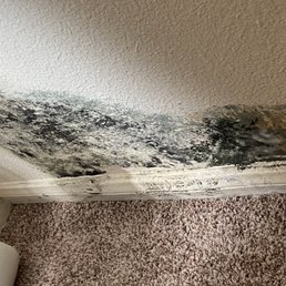 Mold Mold