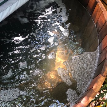 Primal Pool Care - After: perfectly clear - Pool & Hot Tub Service Near Me Primal Pool Care - After: perfectly clear - Pool & Hot Tub Service Near Me
