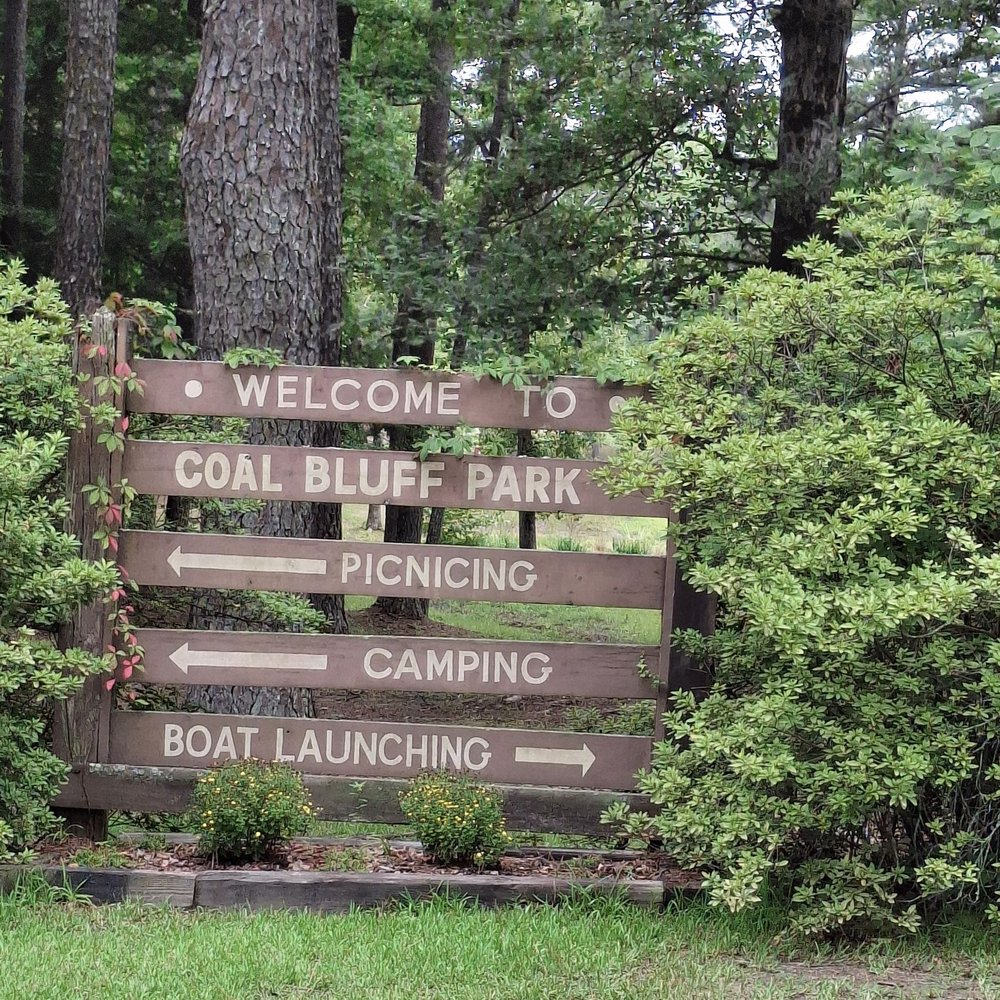 Coal Bluff Park Campground - Parks Near Me - Lena, Mississippi Coal Bluff Park Campground - Parks Near Me - Lena, Mississippi