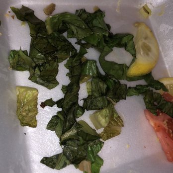 Athena Cafe - The bed of lettuce - Cafes Near Me - Metairie, Louisiana Athena Cafe - The bed of lettuce - Cafes Near Me - Metairie, Louisiana
