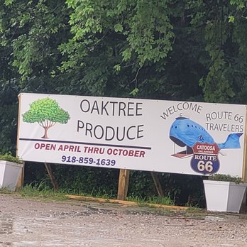 Oaktree Produce - Stop in on your way to the whale! - Farmers Market Near Me - Catoosa, Oklahoma Oaktree Produce - Stop in on your way to the whale! - Farmers Market Near Me - Catoosa, Oklahoma