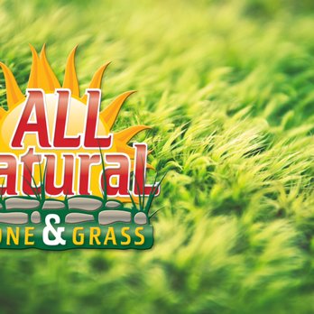 All Natural Stone & Grass - All Natural Stone & Grass - Landscaping Near Me - Tyler, Texas All Natural Stone & Grass - All Natural Stone & Grass - Landscaping Near Me - Tyler, Texas