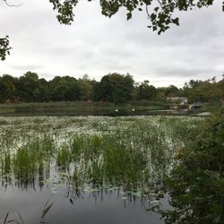 Peconic River At Edwards Avenue Fishing