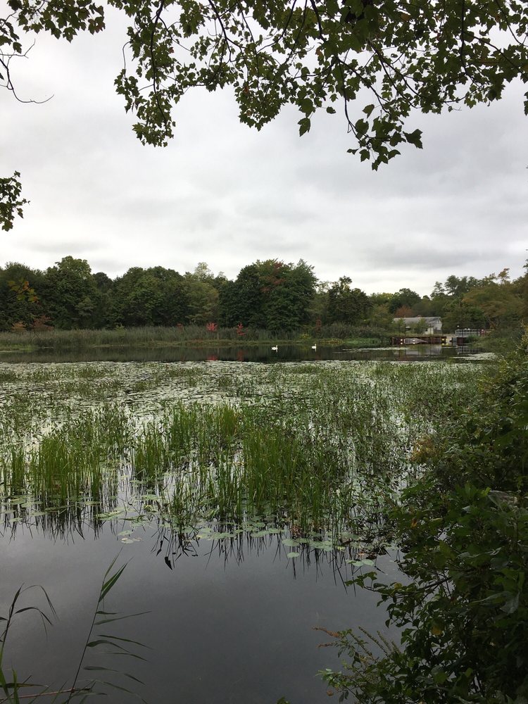 PECONIC RIVER AT EDWARDS AVENUE FISHING Updated September 2024 13