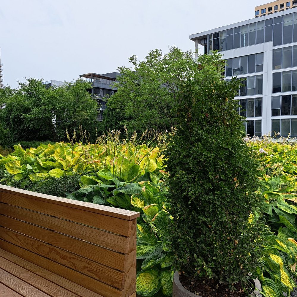 Bar Avec - Garden on rooftop - Tapas/Small Plates Near Me - Chicago, Illinois Bar Avec - Garden on rooftop - Tapas/Small Plates Near Me - Chicago, Illinois