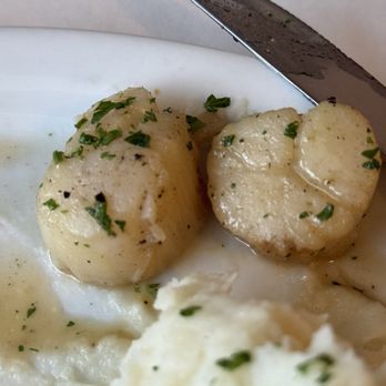 PJ's Restaurant & Cocktail - The scallops didn't have enough sear on them and were a bit rubbery. - Italian Near Me - El Sobrante, California PJ's Restaurant & Cocktail - The scallops didn't have enough sear on them and were a bit rubbery. - Italian Near Me - El Sobrante, California