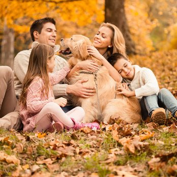 Capital Pet Movers - Pet Services Near Me - Woodbine, Maryland Capital Pet Movers - Pet Services Near Me - Woodbine, Maryland