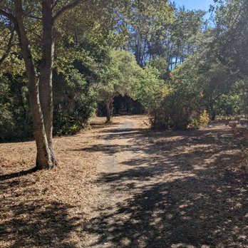 San Pablo Reservoir - Hiking Near Me - El Sobrante, California San Pablo Reservoir - Hiking Near Me - El Sobrante, California