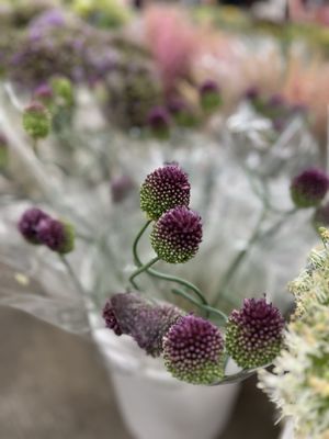 The Original Los Angeles Flower Market by null