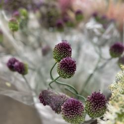 Original Los Angeles Flower Market