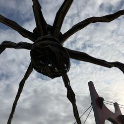 San Sebastian Trips - Outside the Guggenheim Bilbao