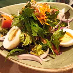 Restaurant u. Parkcafe Forstbaumschule Steen