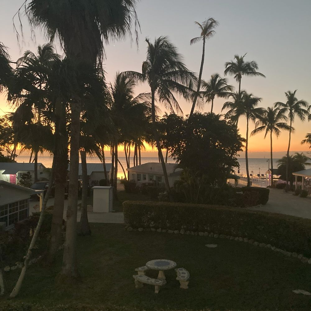 Pines and Palms Adventures - Resorts Near Me - Islamorada, Florida Pines and Palms Adventures - Resorts Near Me - Islamorada, Florida