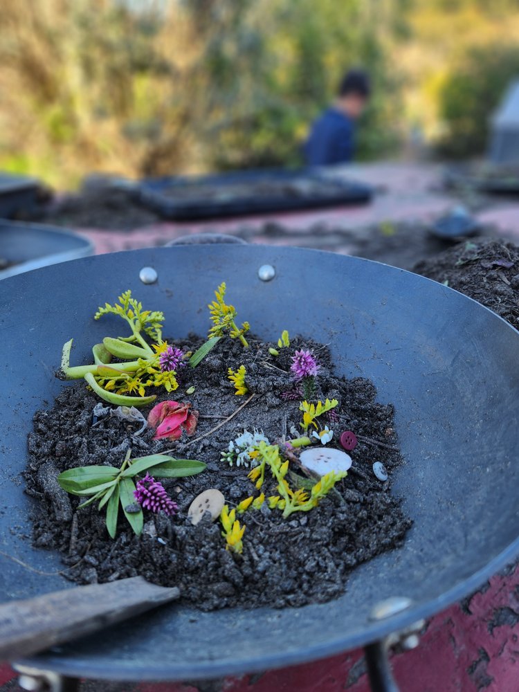 New Journey Mandarin Preschool Center - childcare center in San Francisco, CA