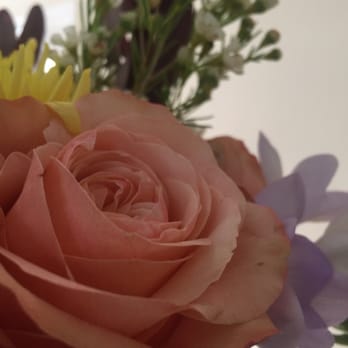Surroundings - Beautiful flowers - Florists Near Me - Washington, DC, District of Columbia