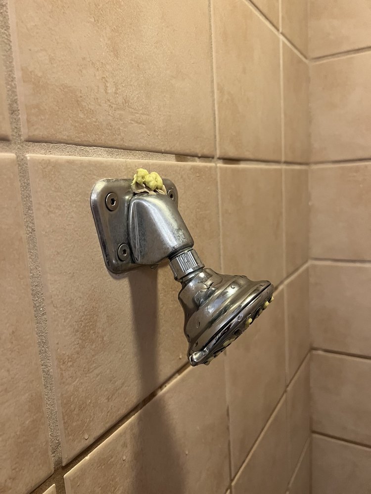 GOLD’S GYM SAN ANTONIO Updated October 2024 41 Photos & 65