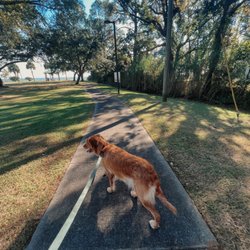 Bayfront Park - my dog on the park's walking trail!