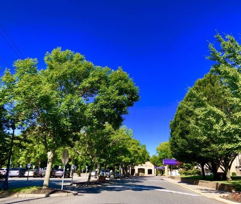 St. Charles Hospital by null