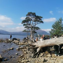 Killarney Guided Walks