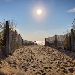 Steven W. Falcone CPA - Rehoboth Beach
