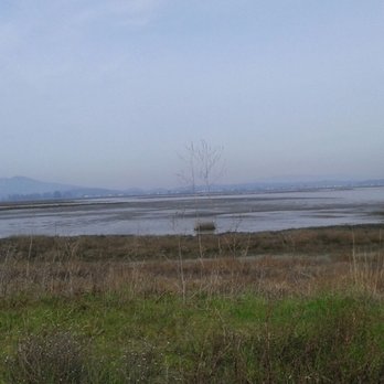 San Francisco Bay Trail - Hiking Near Me - Oakland, California San Francisco Bay Trail - Hiking Near Me - Oakland, California