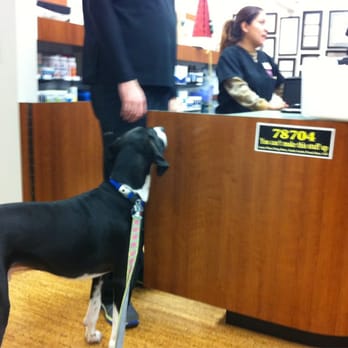 Martin's Wellness Lamar Plaza Pharmacy - Tucker knows where the treats are. I think we are here way too often. - Drugstores Near Me - Austin, Texas Martin's Wellness Lamar Plaza Pharmacy - Tucker knows where the treats are. I think we are here way too often. - Drugstores Near Me - Austin, Texas