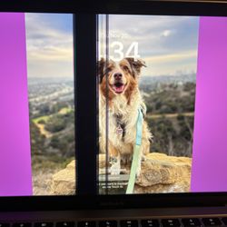Apple Store - Glendale Galleria - Laptop issues. Great genius guy. Sadly not  worth paying for new screen.