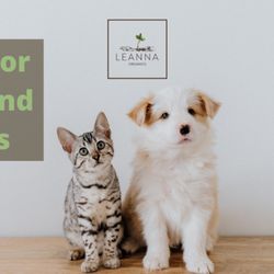 Leanna Organics CBD - Check out our latest blog: https://leannaorganics.com/cbd-for-cats-and-dogs/
