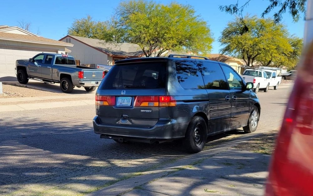 Born Again Landscaping - tree service in Tucson, AZ
