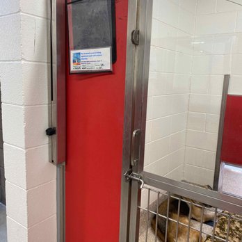 Pima Animal Care Center - Not much info on the animal. Is it available or not? - Animal Shelters Near Me - Tucson, Arizona Pima Animal Care Center - Not much info on the animal. Is it available or not? - Animal Shelters Near Me - Tucson, Arizona