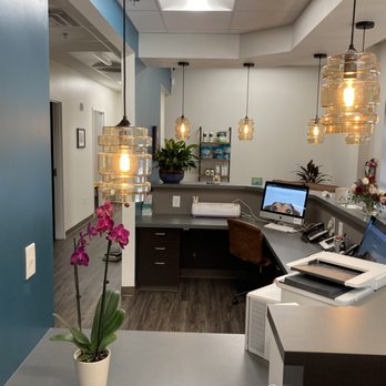 Urban Tails Veterinary Hospital - Reception viewed by cat side - Veterinarians Near Me - Durham, North Carolina Urban Tails Veterinary Hospital - Reception viewed by cat side - Veterinarians Near Me - Durham, North Carolina