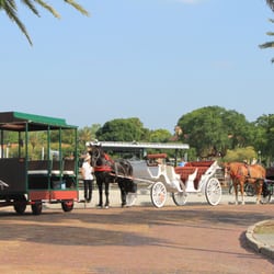 We have options for carriages!