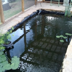 Pure Aquaponics - Koi pond