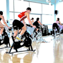 Team Wof 15 Teamwork Fitness