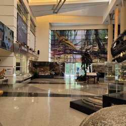 Virginia Museum of Natural History - Main area