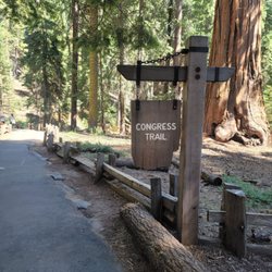 Congress Trail - Start of trail, after 200 stairs