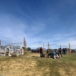 Igloos, fire pits, and picnic tables