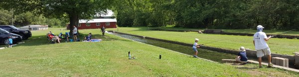 Bucksnort Trout Ranch by null