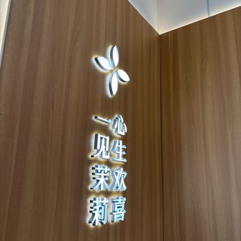 Molly Tea - Bubble Tea Near Me - Sunnyvale, California