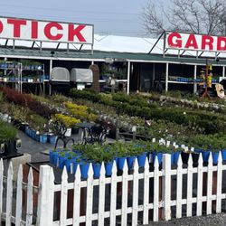 Manotick Gardens & Landscaping Supplies - Perennials and Shrubs, Top grafted ornamental trees